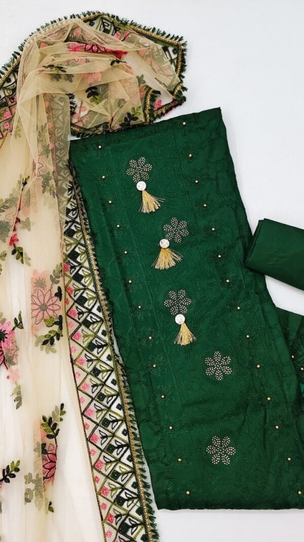 Designer Salwar Suit Punjabi - Salwar Suit