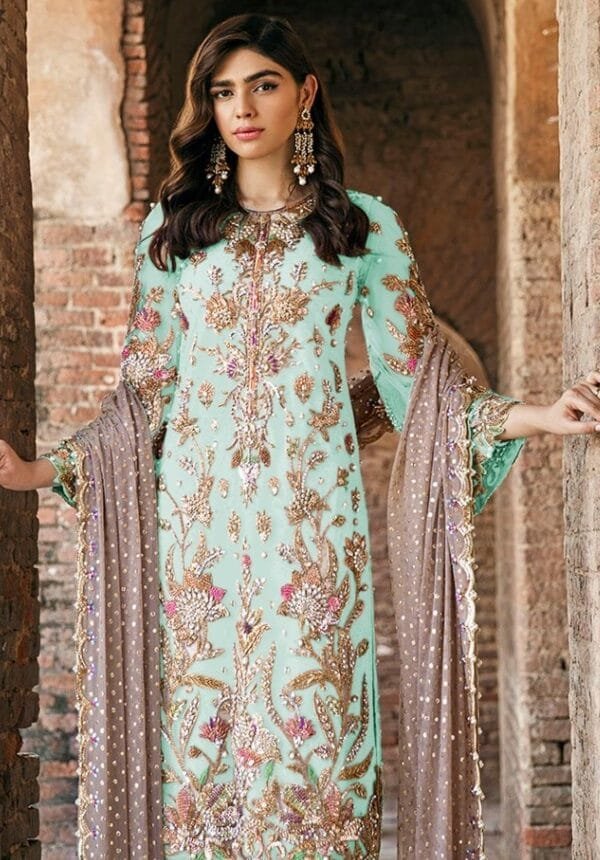 Designs For Pakistani Suits - Sky Blue Colour Pakistani Suits