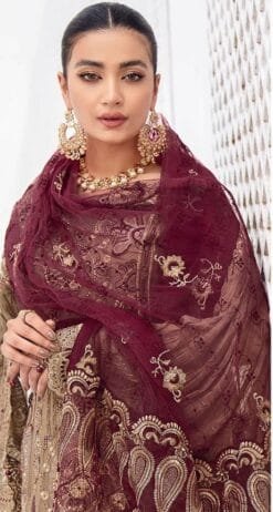 Pakistani Dress Party Wear - Pakistani Suits