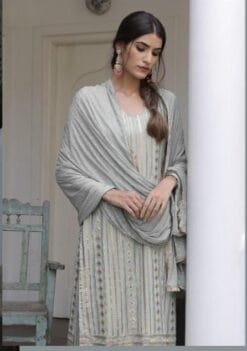 Pakistani Dress Shopping Online -Gray Colour Pakistani Suits