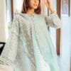 Pakistani Suits Design - Sky Blue Pakistani Suits