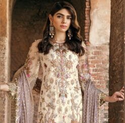 Pakistani Suits Designer - Light Gray Pakistani Suits