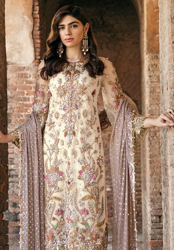 Pakistani Suits Designer - Light Gray Pakistani Suits
