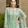 Pakistani Suits Party Wear - Pakistani Suits