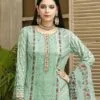Pakistani Suits Party Wear - Pakistani Suits