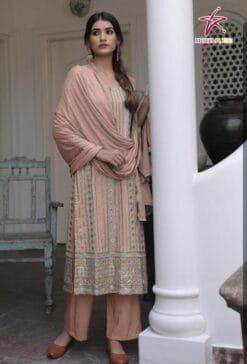 Party Pakistani Dress - Light Brown Pakistani Suits