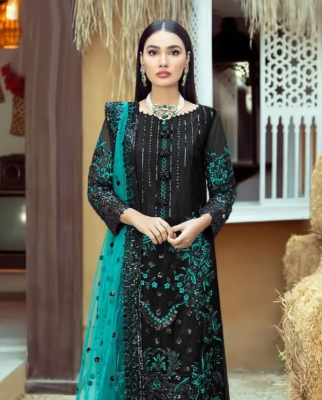 Partywear Pakistani Suits - Pakistani Suits