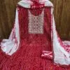 Punjabi Design Salwar Suit - Salwar Suit