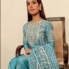 Traditional Pakistani Dress - Blue Colour Pakistani Suits