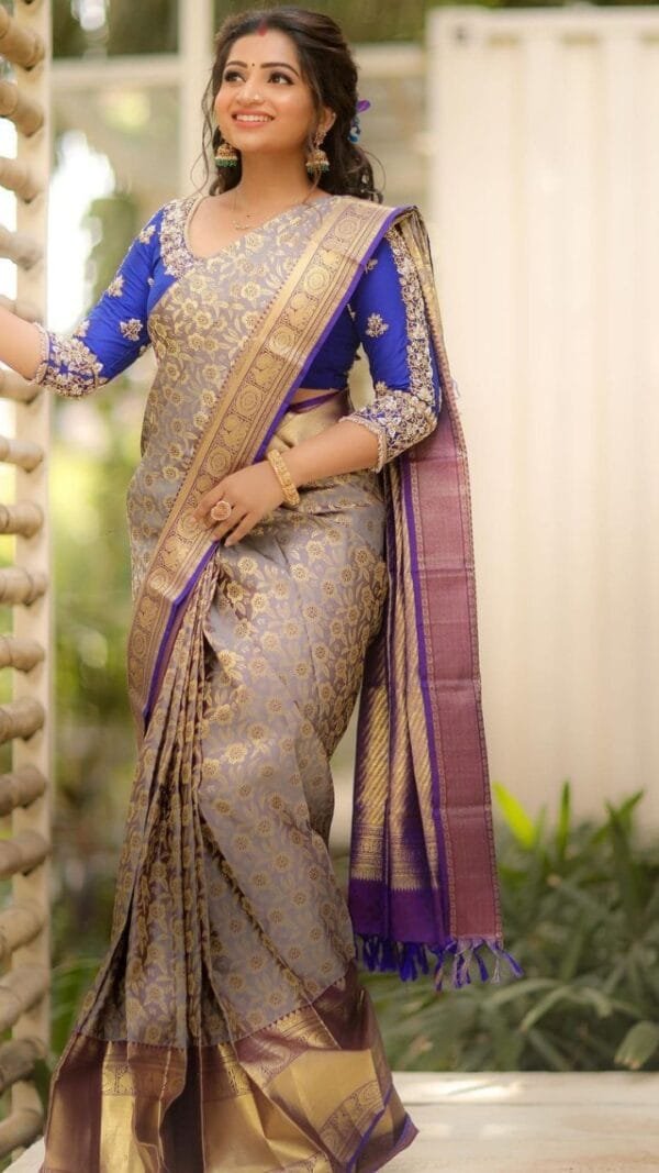 साड़ी फोटो Gray Colour Saree - Designer Sarees Rs 500 to 1000