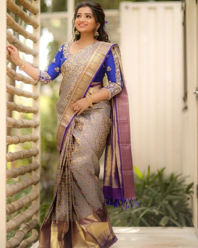 साड़ी फोटो Gray Colour Saree - Designer Sarees Rs 500 to 1000