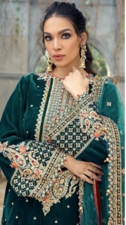 New Pakistani Dress - Pakistani Suits Online