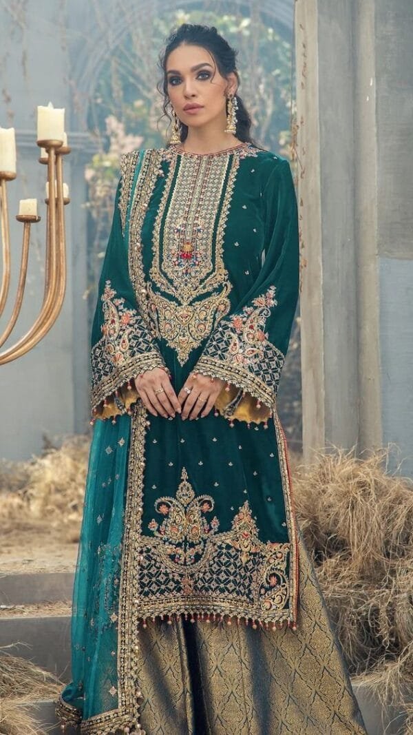 New Pakistani Dress - Pakistani Suits Online