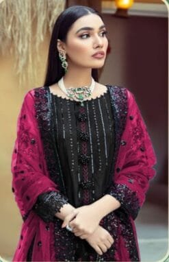 Online Pakistani Suits Shopping - Pakistani Suits