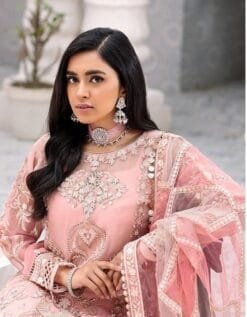 Pakistani Dress For Womens - Pakistani Suits Online