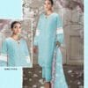 Pakistani Dress Party Wear - Pakistani Suits