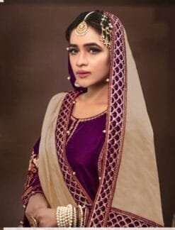 Pakistani Suits Designs - Pakistani Suits Online