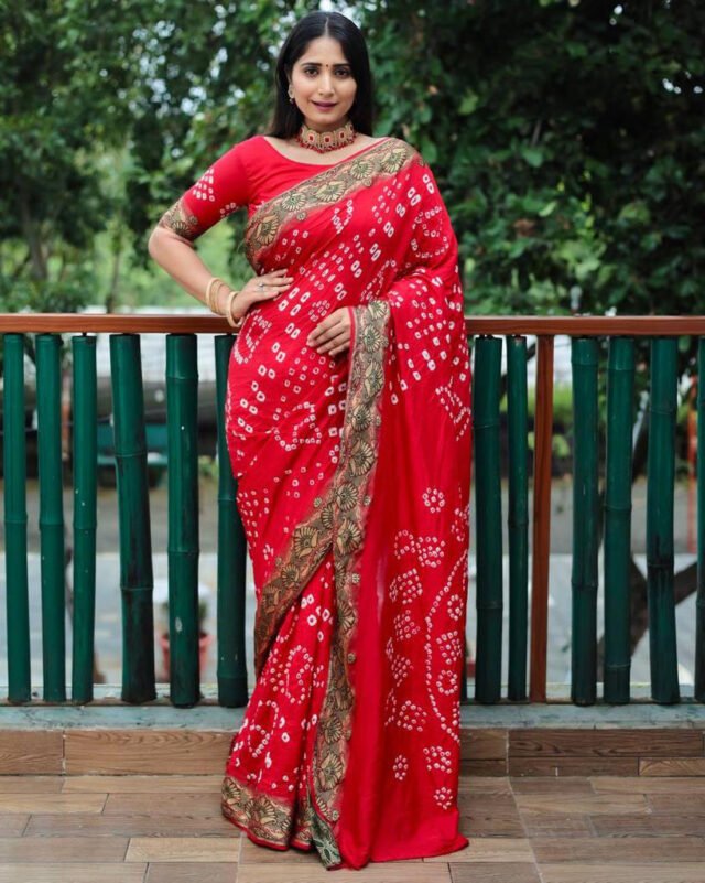 साड़ी का डिजाइन - Designer Sarees Rs 500 to 1000