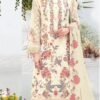 Pakistani Suits Designs Images