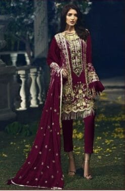 Pakistani Suits In Delhi Wholesale