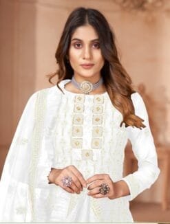 Pakistani Suits In Delhi Wholesale