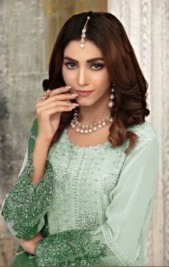 Cheapest Pakistani Suits Online - Pakistani Suits