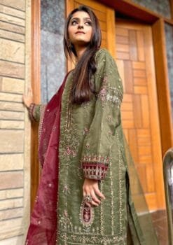 New Pakistani Dress Styles - Pakistani Suits