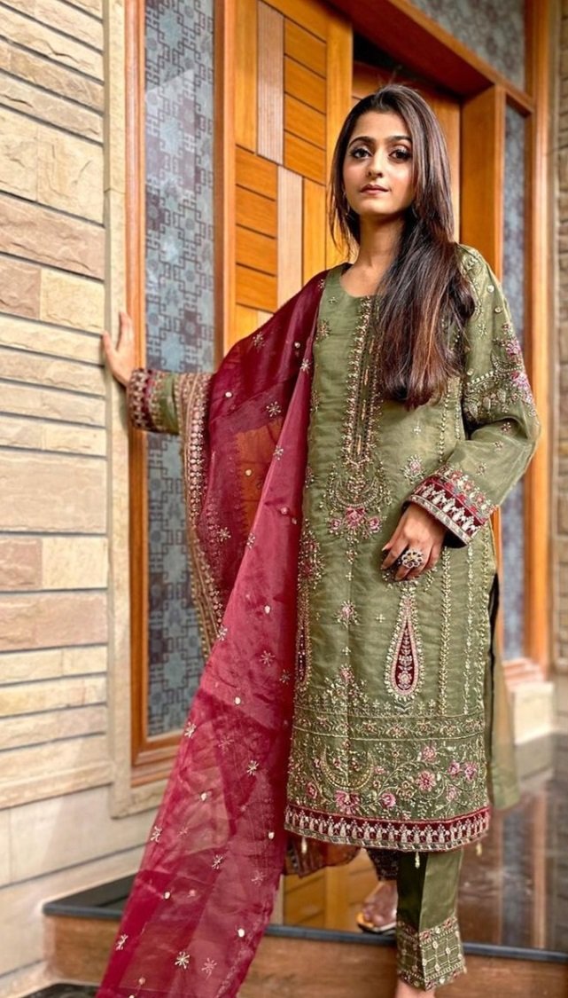 Latest Pakistani Dress Design - SareesWala.com