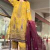 Pakistani Dress Pics - Pakistani Suits