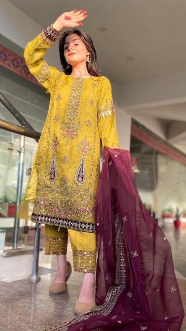 Pakistani Dress Pics - Pakistani Suits