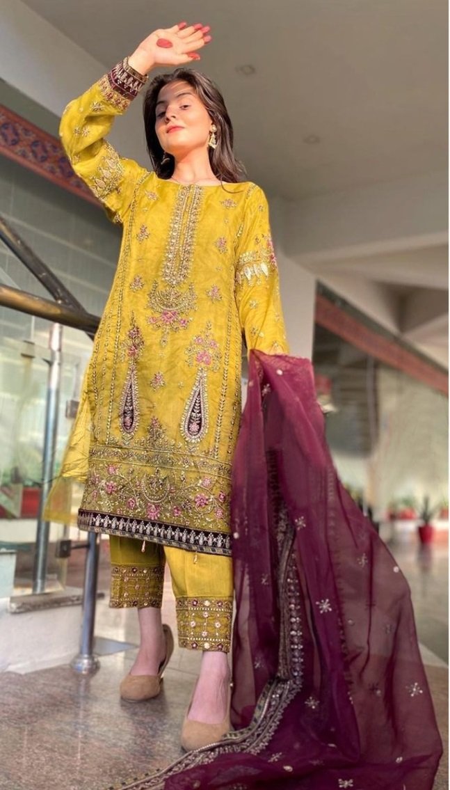 Buy Grey Organza Festival Wear Embroidery Work Pakistani Suit Online From  Wholesale Salwar.