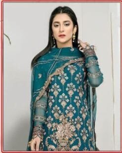 Pakistani Suits Designs Images - Pakistani Suits