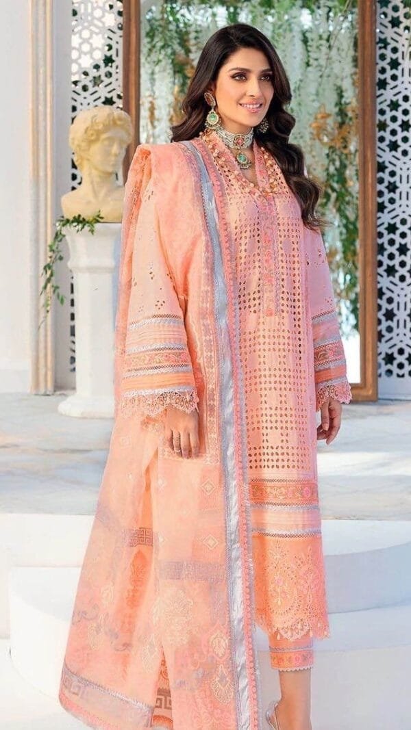 Pakistani Suits In Lucknow - Pakistani Suits
