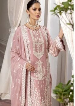 Pakistani Suits In Surat - Pakistani Suits