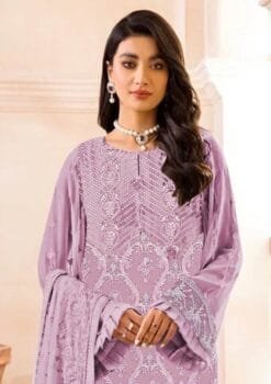 Pakistani Suits Lucknow - Pakistani Suits