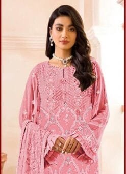 Pakistani Suits Lucknow - Pakistani Suits