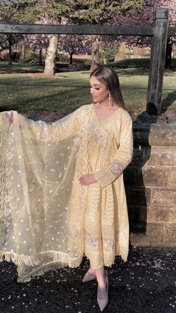 Pakistani Suits Wholesale In Delhi - Pakistani Suits