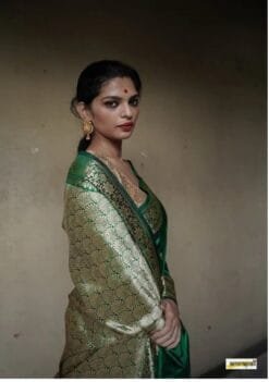 Surat Wholesale Saree - Wholesale Saree