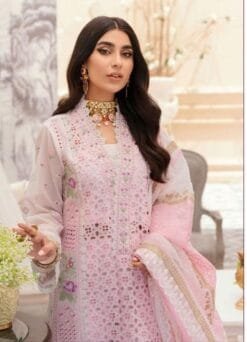 Wholesale Pakistani Suits Online India - Pakistani Suits