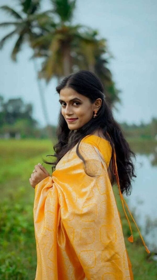 Wholesale Saree Market In Surat - Wholesale Saree