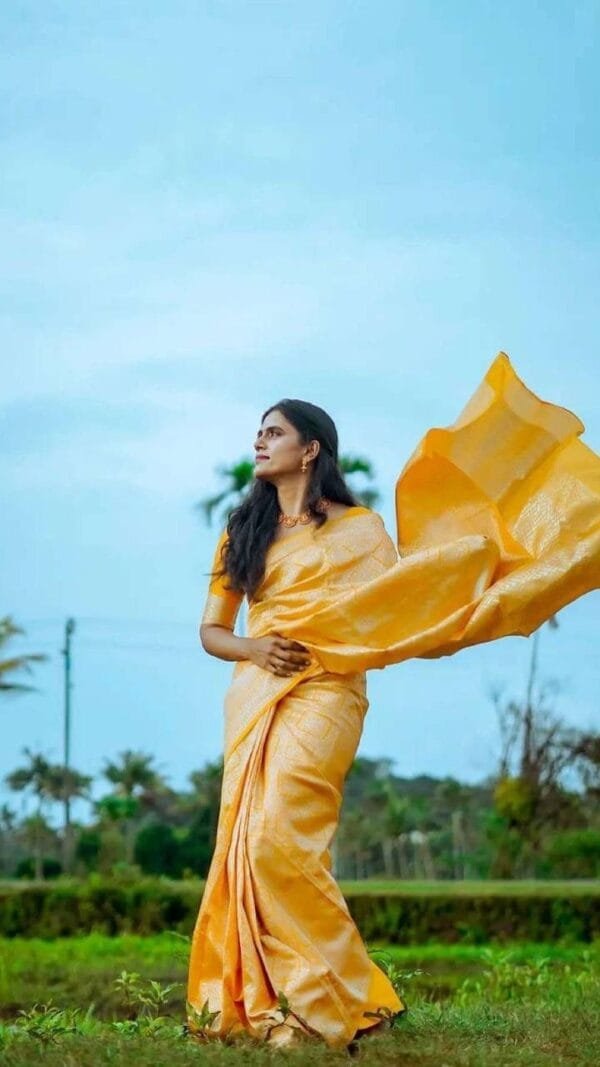 Wholesale Saree Market In Surat - Wholesale Saree