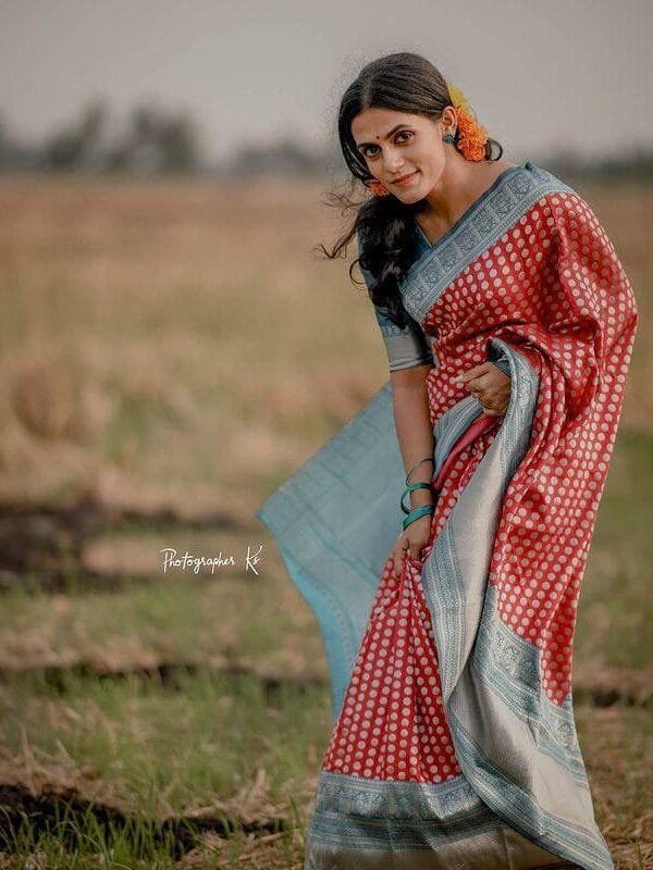 Saree Wholesale In Jaipur - Wholesale Saree