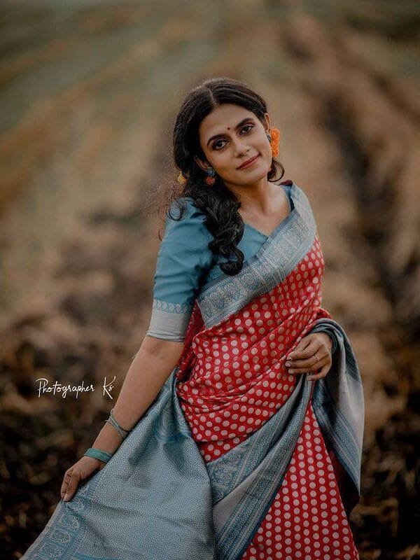 Saree Wholesale In Jaipur - Wholesale Saree