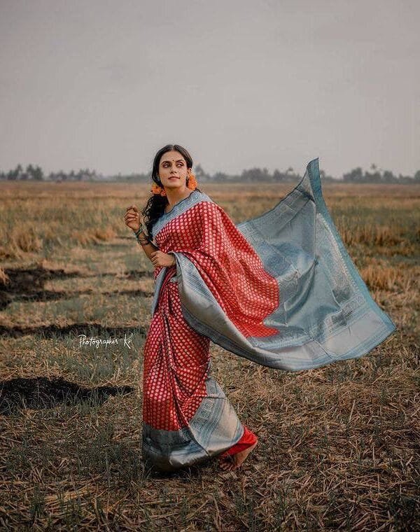 Saree Wholesale In Jaipur - Wholesale Saree