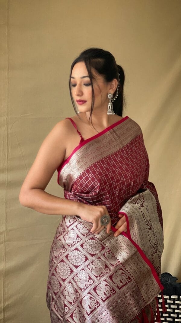 Saree Business In Usa