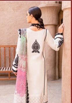 Designer Pakistani Suits - Pakistani Suits Online