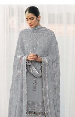 Designers Pakistani Suits - Pakistani Suits Online