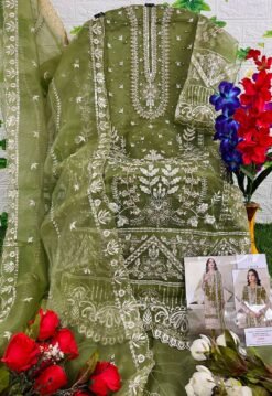 Pakistani Designer Suit - Pakistani Suits Online