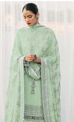 Pakistani Dress Designer - Pakistani Suits Online