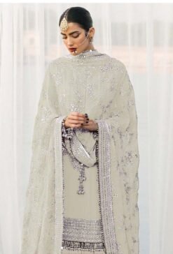 Pakistani Suits Design - Pakistani Suits Online